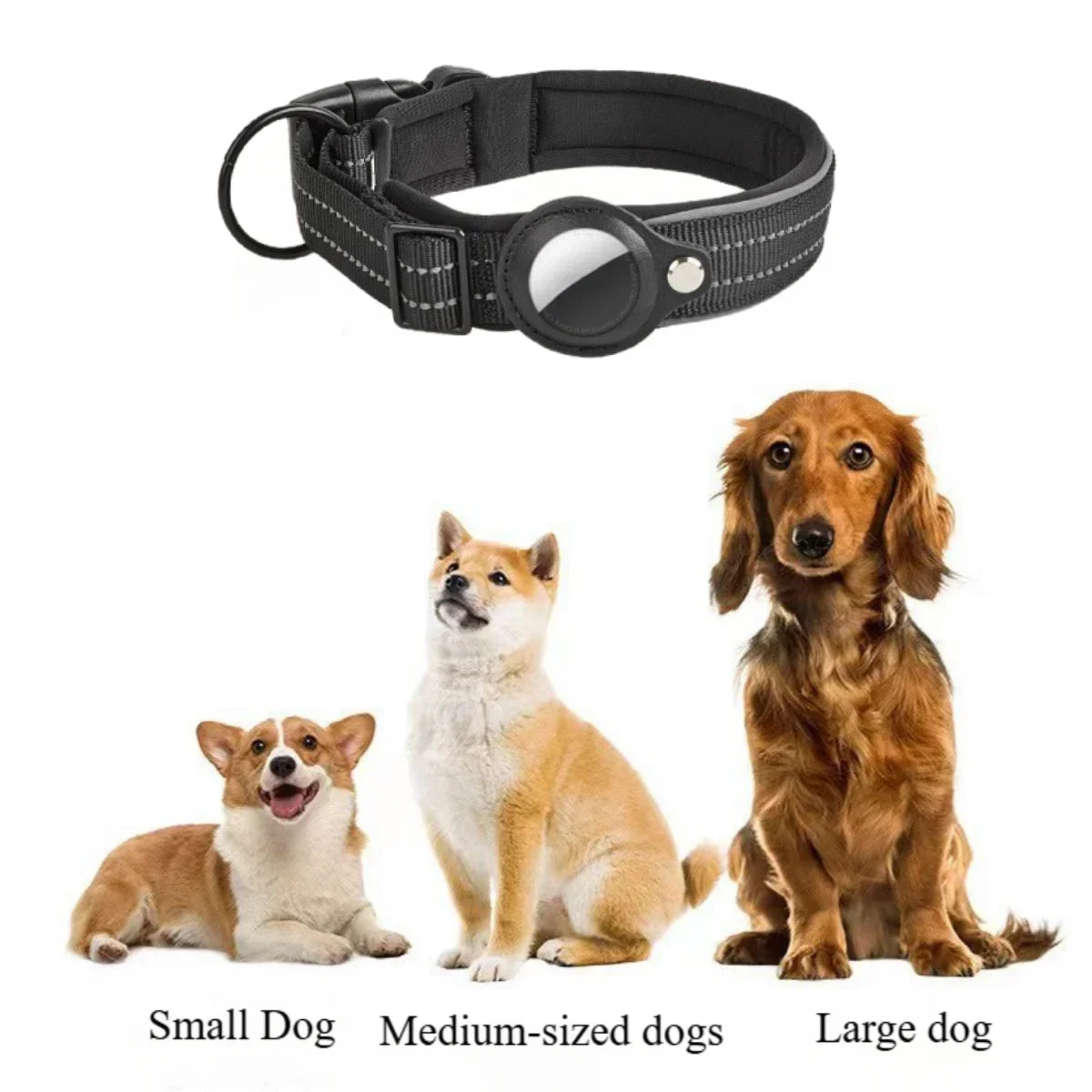 Reflective AirTag Dog Collar With Padded Nylon Design