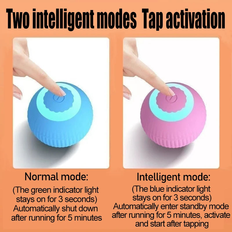 Interactive Electric Rolling Cat Ball Toy for Indoor Play
