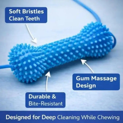 Dog Dental Chew Prop for Easy At-Home Teeth Brushing
