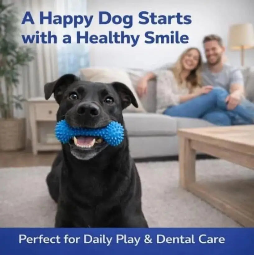 Dog Dental Chew Prop for Easy At-Home Teeth Brushing