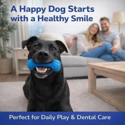 Dog Dental Chew Prop for Easy At-Home Teeth Brushing