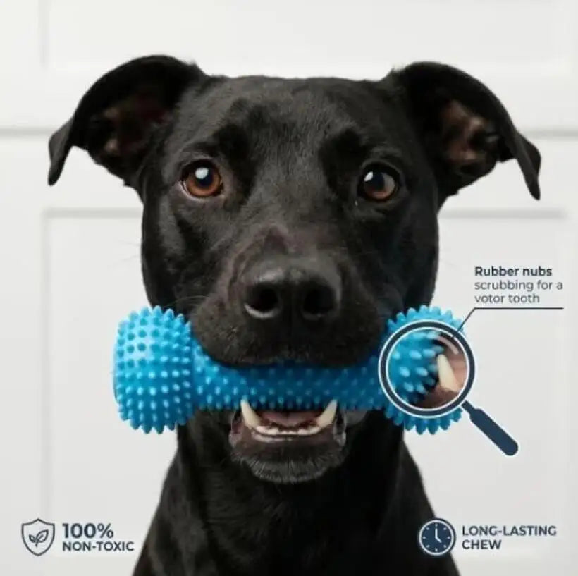 Dog Dental Chew Prop for Easy At-Home Teeth Brushing