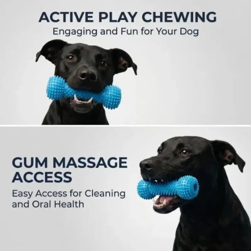 Dog Dental Chew Prop for Easy At-Home Teeth Brushing